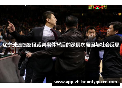 辽宁球迷愤怒砸裁判事件背后的深层次原因与社会反思