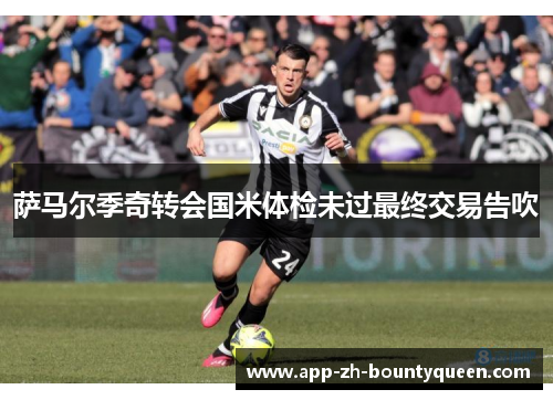 萨马尔季奇转会国米体检未过最终交易告吹